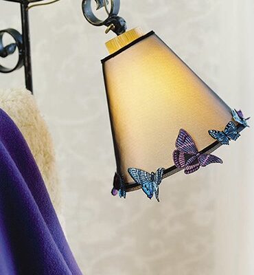 Most Popular Butterflies