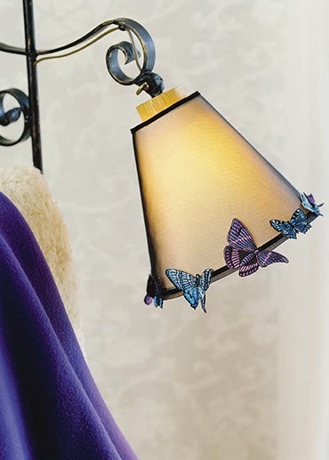 Most popular butterflies