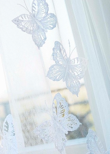 Most popular butterflies