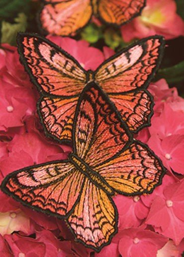 Special techniques butterflies