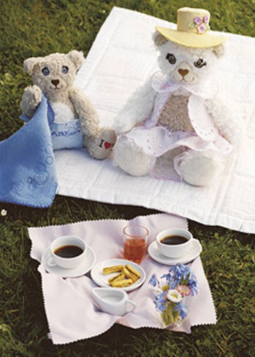 Mr teddy family
