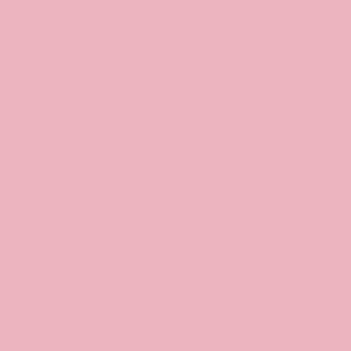 Vinile Termoadesivo - ROSA