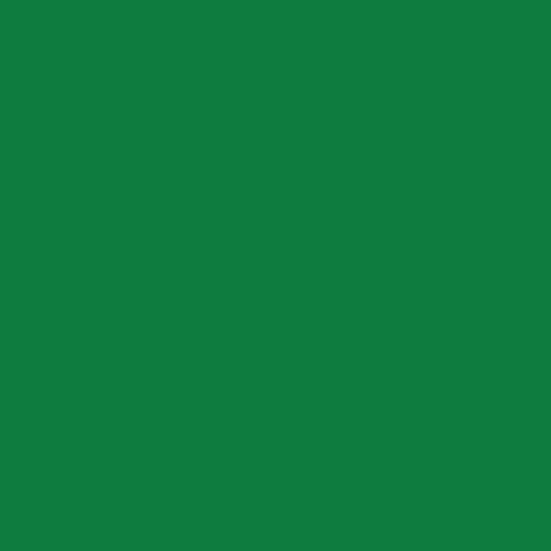 Vinile Termoadesivo - VERDE