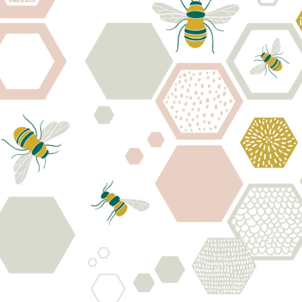 Tessuto in cotone POPELINE - P31 BEE GEO