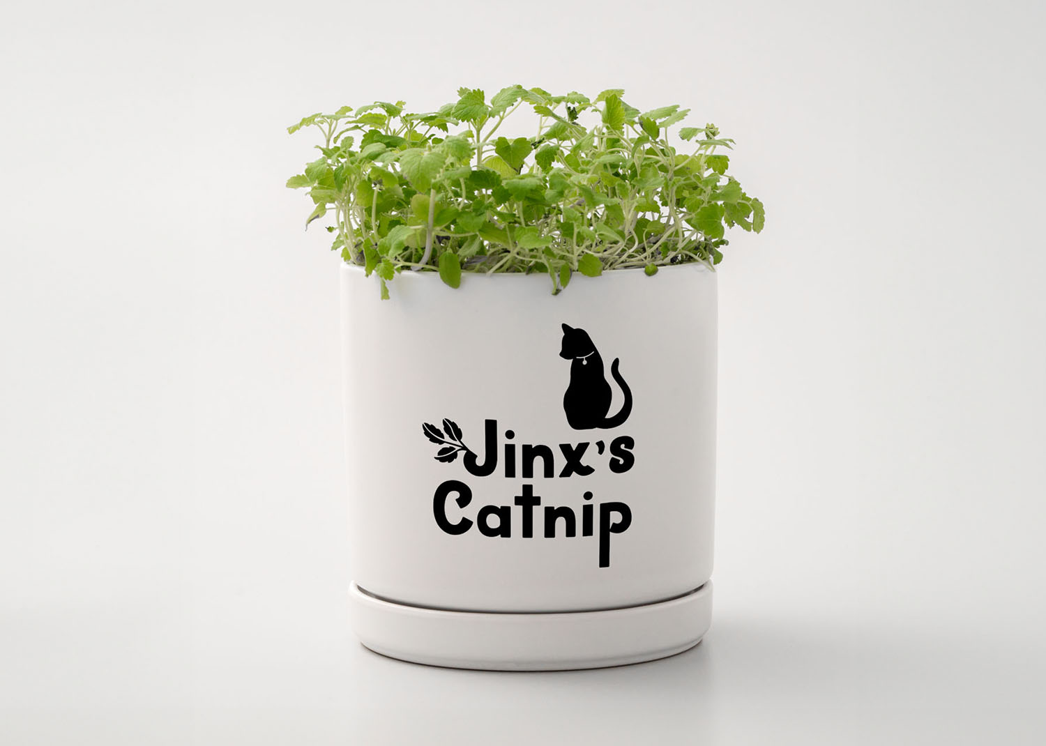 Cricut joy xtra smart vinyl vinile removibile collezione elegance 3 fogli 24,1cmx30,5cm - immagine 3