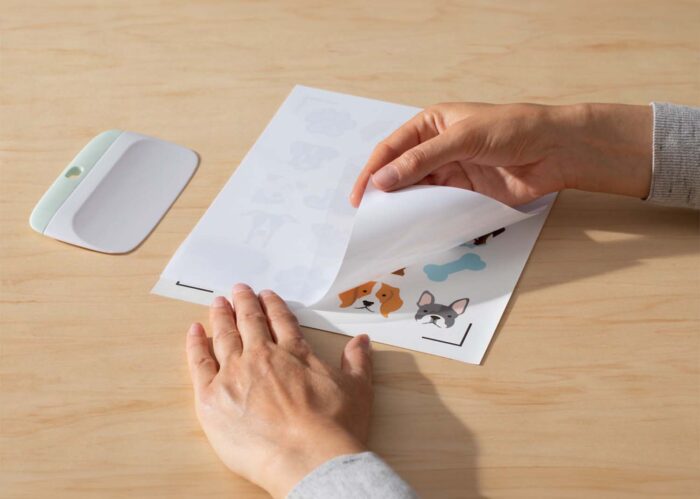 Cricut adesivi impermeabili e stampabili formato a4 trasparente olografico 5 pezzi - immagine 8