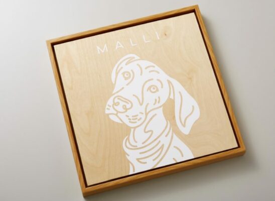 604666 web pmp ds mallithedog wall art 1582 740x540 1 - creattivamente